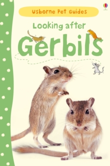 Image for Looking after Gerbils
