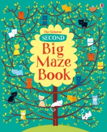 Image for The Usborne second big maze book