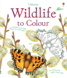 Image for Wildlife to Colour