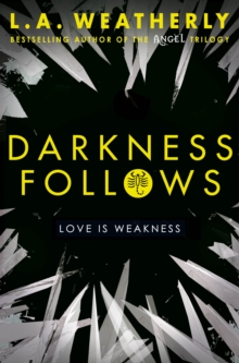 Image for Darkness follows