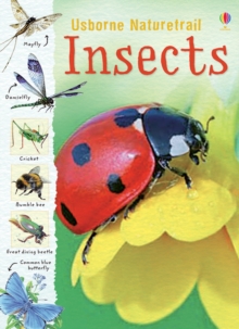 Image for Insects & other creepy-crawlies