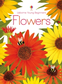 Image for Young Beginners Flowers