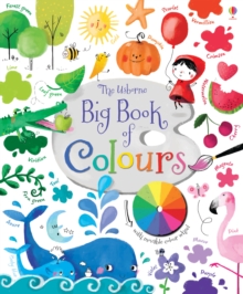 Image for The Usborne big book of colours