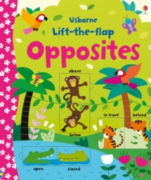 Image for Lift-the-flap Opposites