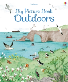 Image for Big Picture Book Outdoors