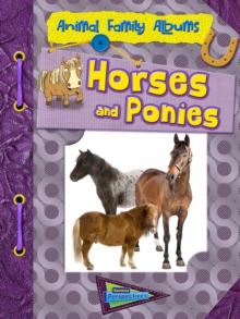 Image for Horses and Ponies