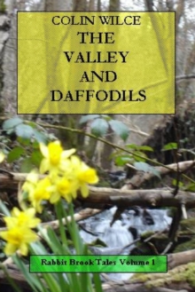 Image for The Valley and Daffodils (Rabbit Brook Tales Volume 1)