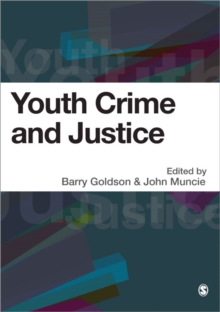 Image for Youth crime and justice  : critical issues