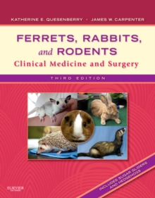 Image for Ferrets, Rabbits, and Rodents