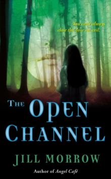 Image for The open channel