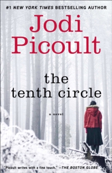 Image for Tenth Circle: A Novel