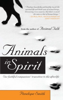Image for Animals in spirit: our faithful companions' transition to the afterlife