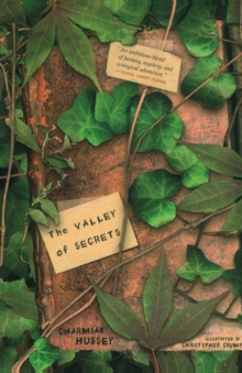 Image for The Valley of Secrets