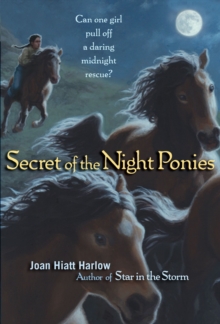 Image for Secret of the Night Ponies