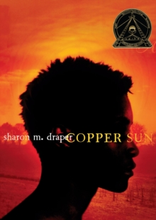 Image for Copper sun