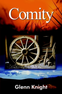 Image for Comity