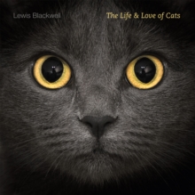 Life and Love of Cats