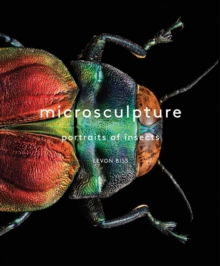 Microsculpture: Portraits of Insects