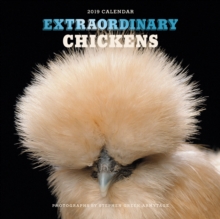 Image for Extraordinary Chickens 2019 Wall Calendar