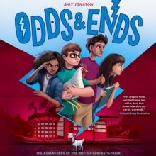 Image for Odds & Ends (The Odds Series #3)