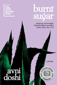 Image for Burnt Sugar : A Novel