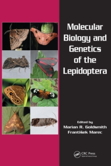 Image for Molecular biology and genetics of the Lepidoptera
