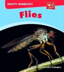 Image for Mighy Minibeasts Flies