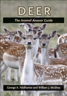 Image for Deer: The Animal Answer Guide