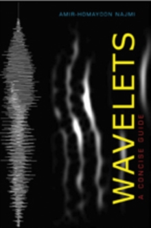 Image for Wavelets  : a concise guide