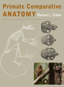 Image for Primate comparative anatomy