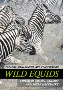 Image for Wild equids: ecology, management, and conservation