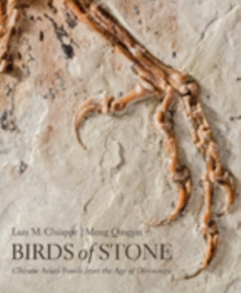 Image for Birds of Stone