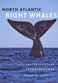 Image for North Atlantic Right Whales: From Hunted Leviathan to Conservation Icon