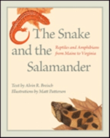 Snake and the Salamander