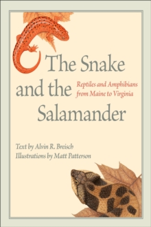 Image for The Snake and the Salamander: Reptiles and Amphibians from Maine to Virginia