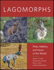 Image for Lagomorphs  : pikas, rabbits, and hares of the world