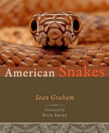 Image for American Snakes