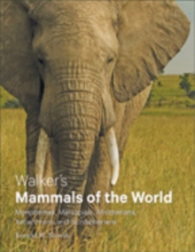 Walker’s Mammals of the World: Monotremes, Marsupials, Afrotherians, Xenarthrans, and Sundatherians