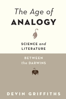 Age of Analogy