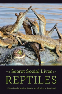 Image for The Secret Social Lives of Reptiles