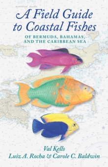 Image for A Field Guide to Coastal Fishes of Bermuda, Bahamas, and the Caribbean Sea
