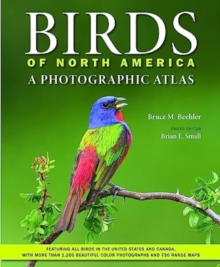 Image for Birds of North America  : a photographic atlas