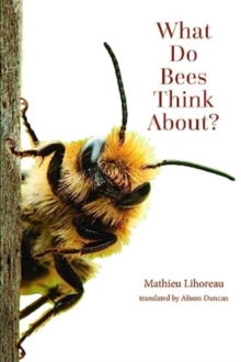 Image for What do bees think about?