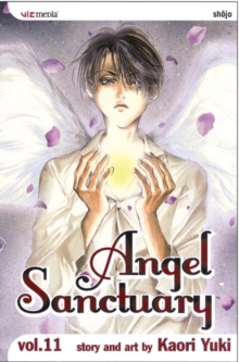 Image for Angel sanctuaryVol. 11