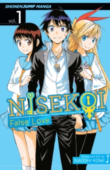 Image for Nisekoi: False Love, Vol. 1