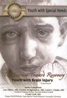 Image for The Journey Toward Recovery : Youth with Brain Injury