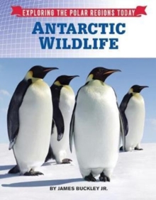 Image for Antarctic wildlife