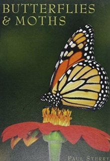 Image for Butterflies & Moths