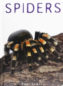 Image for Spiders