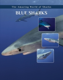 Image for Blue sharks